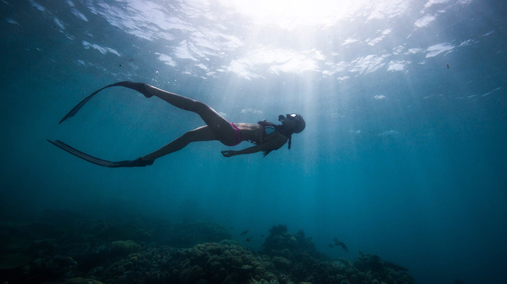 The Sun's Favorite Dance Partner: Confessions of a Saltwater-Savvy Swimsuit