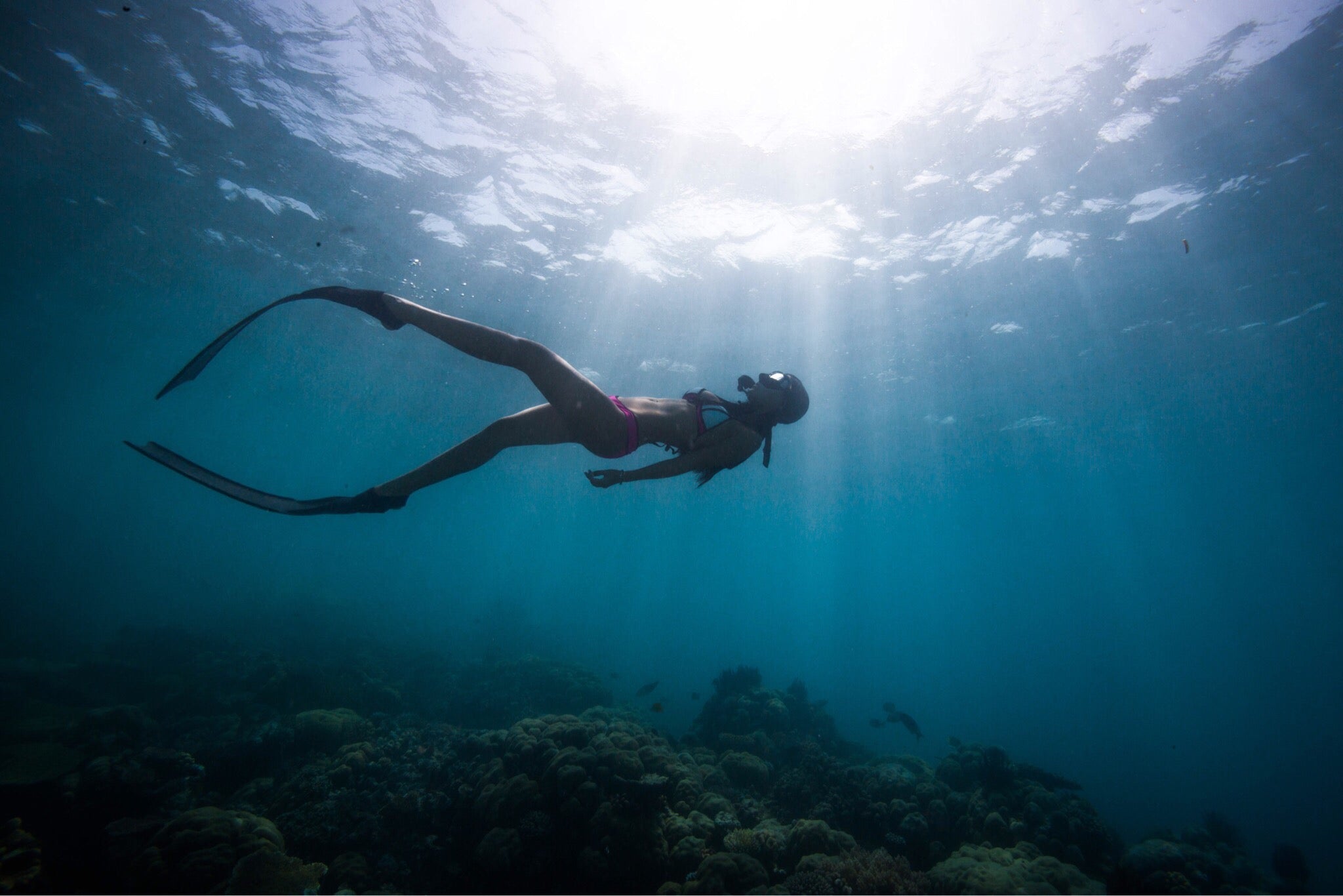 The Sun's Favorite Dance Partner: Confessions of a Saltwater-Savvy Swimsuit